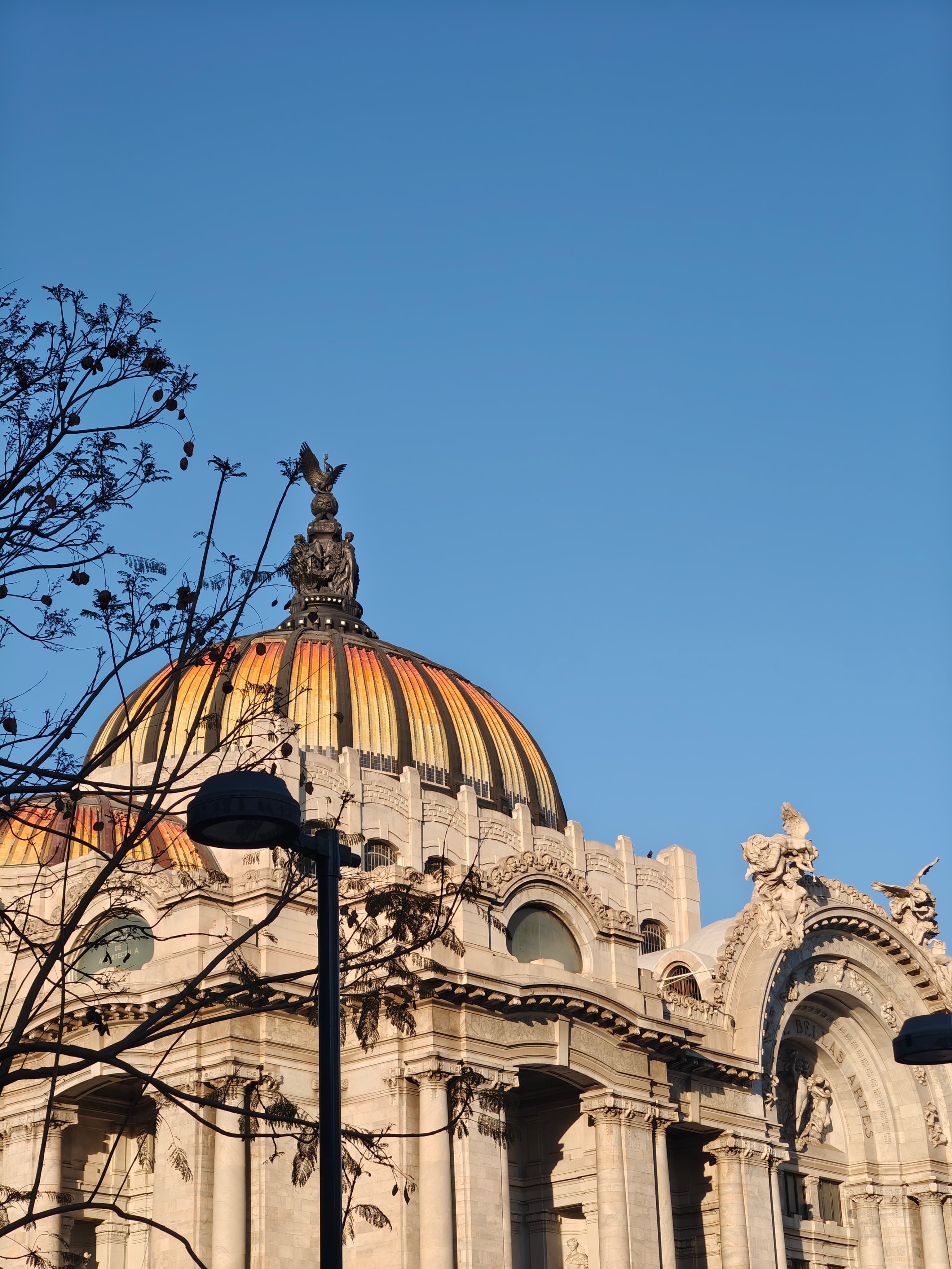 Bellas Artes — fotografía de arquitectura