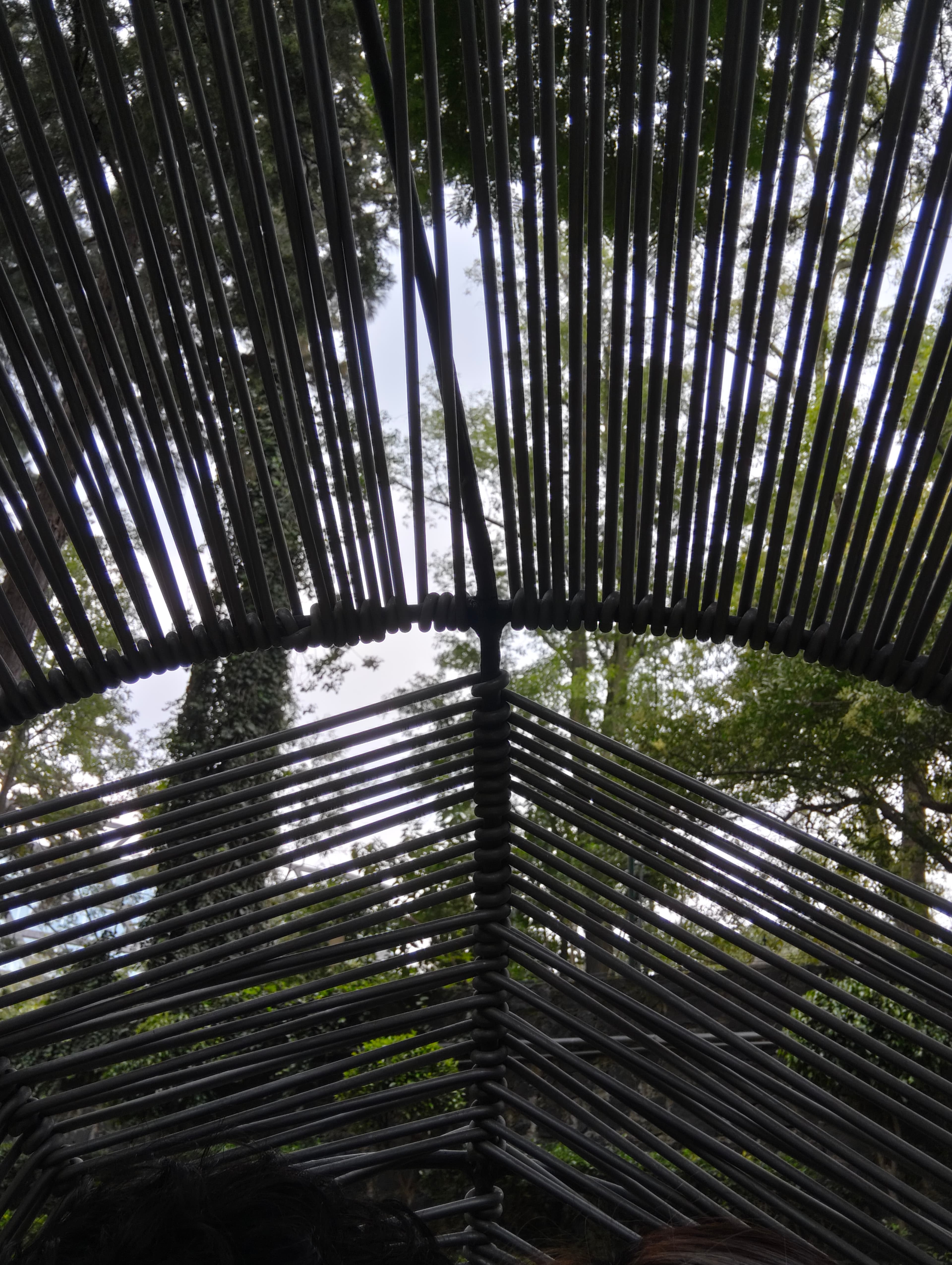 Bosque — fotografía de paisaje